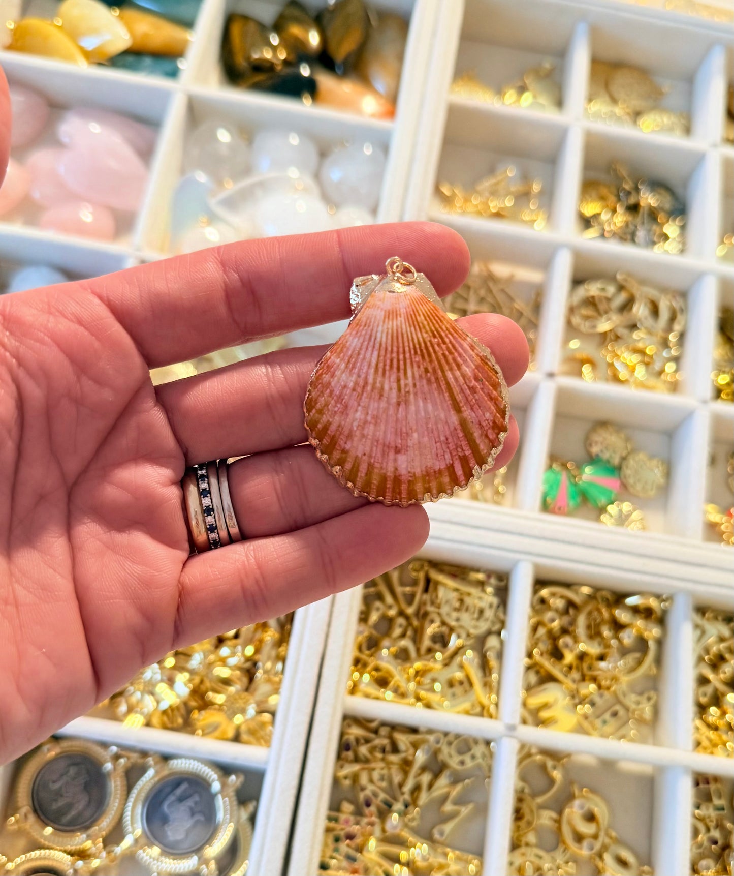 shell charms