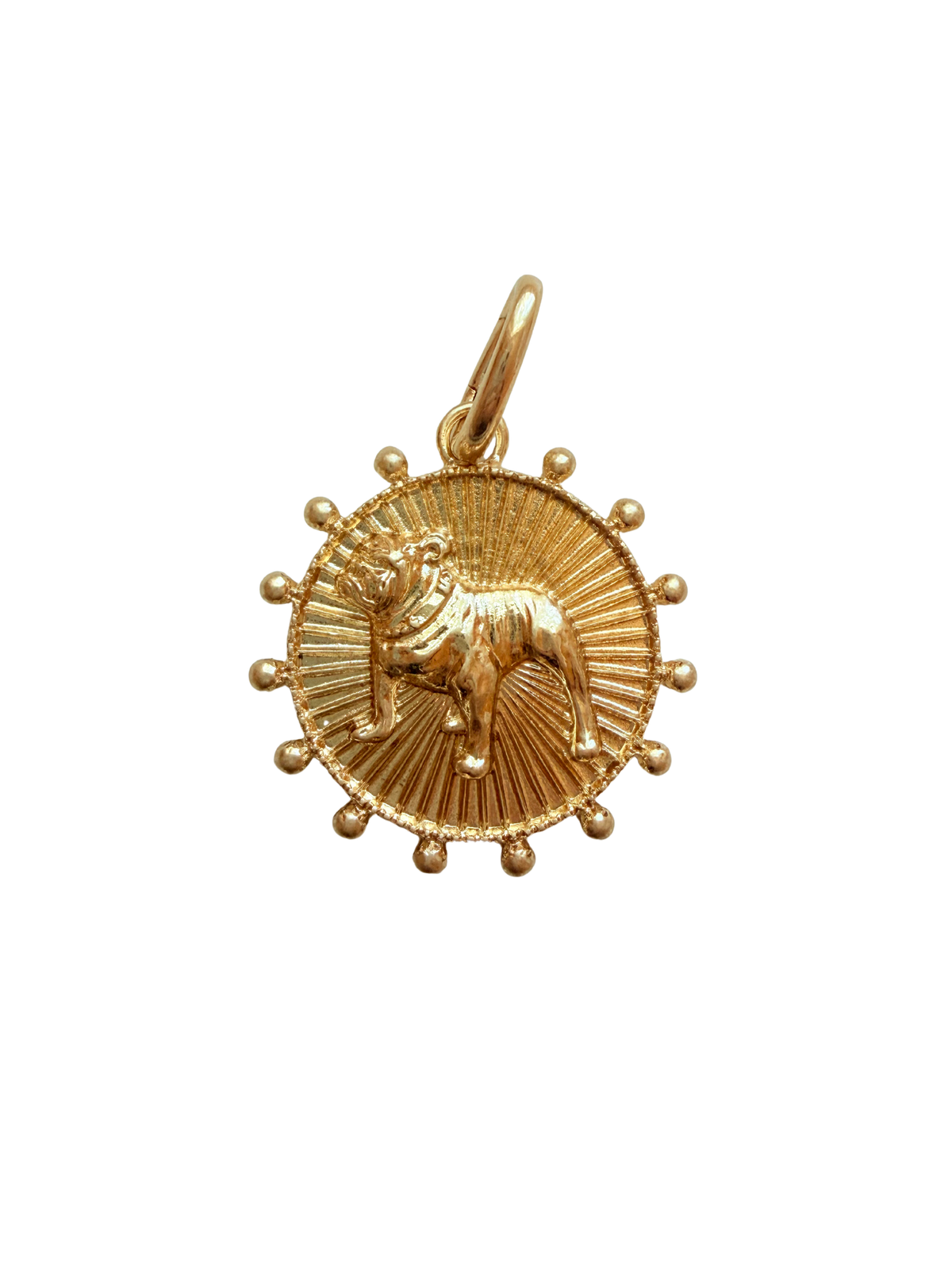 mascot charm