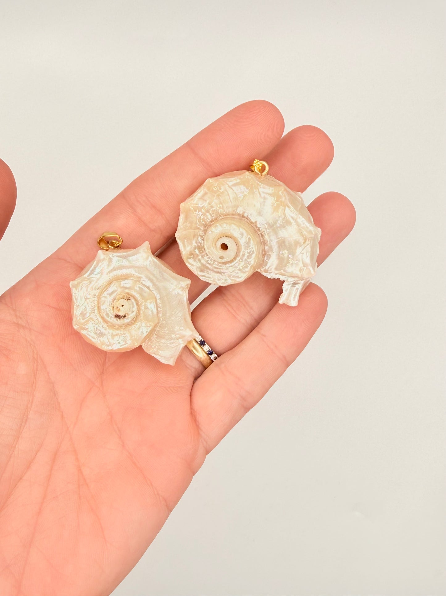 pearl spiral shell charm
