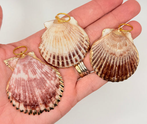 shell charms
