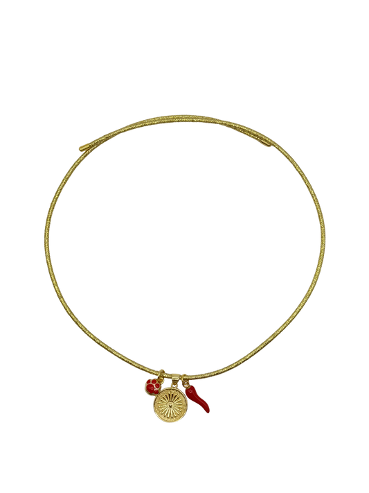 magnetic collar w/ charms